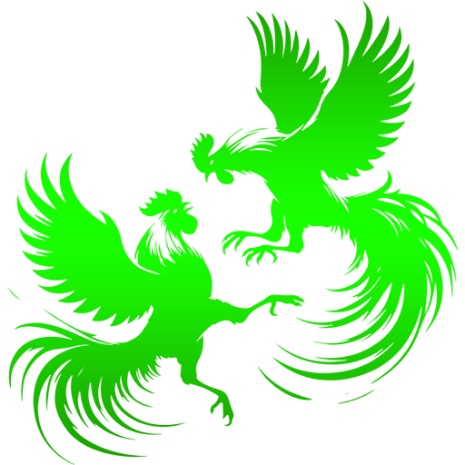 cock_fight