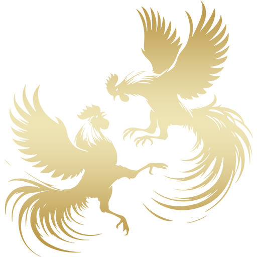 Cock Fight