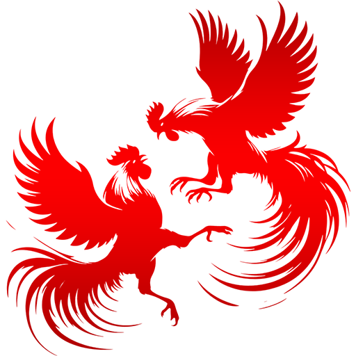 cock_fight